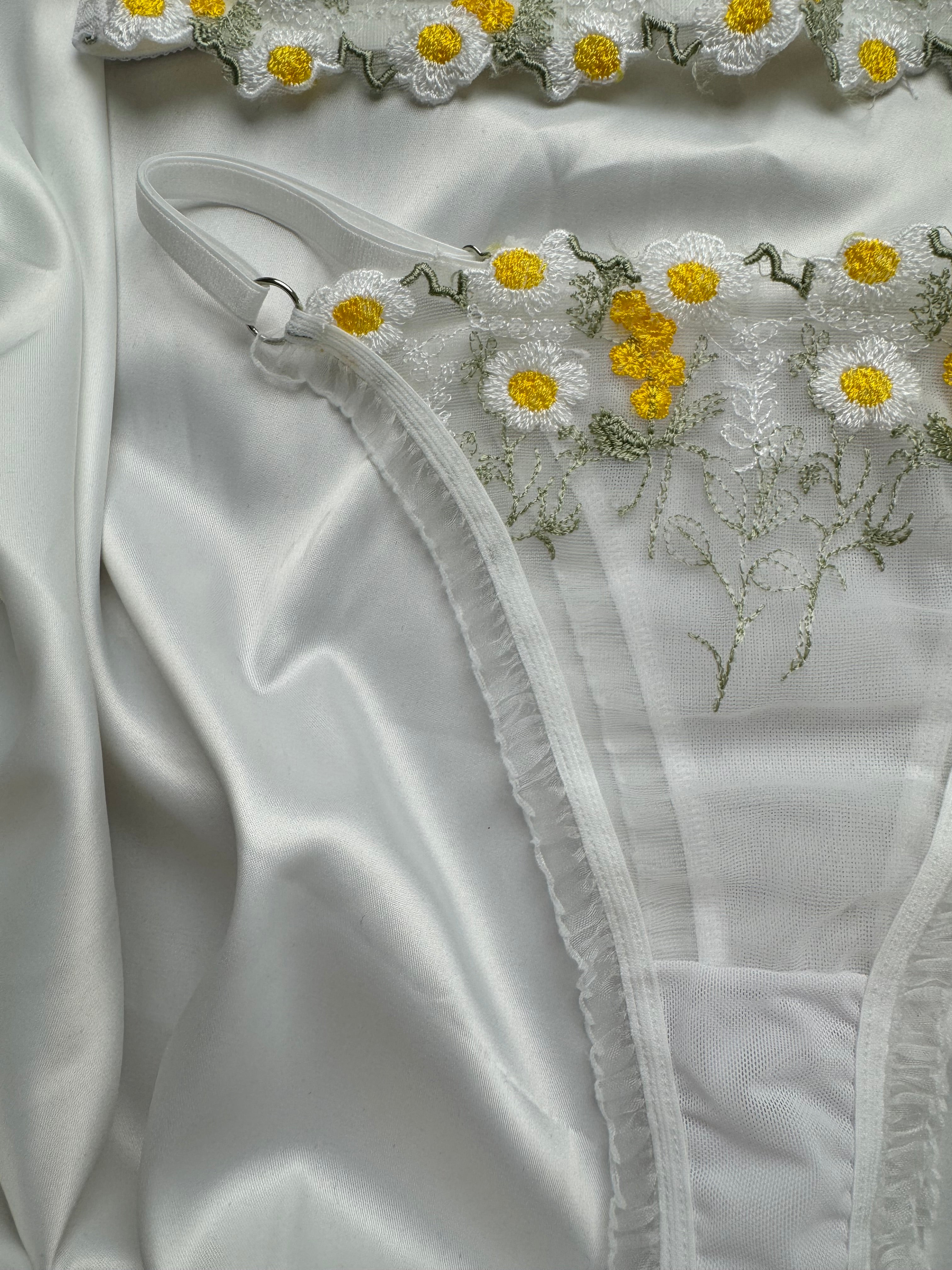 Daisy Bralet Takım